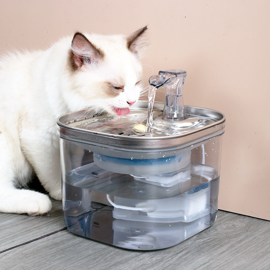 Fontaine à Eau Intelligente pour Chats et Chiens – Silencieuse & Filtrante (2 L)